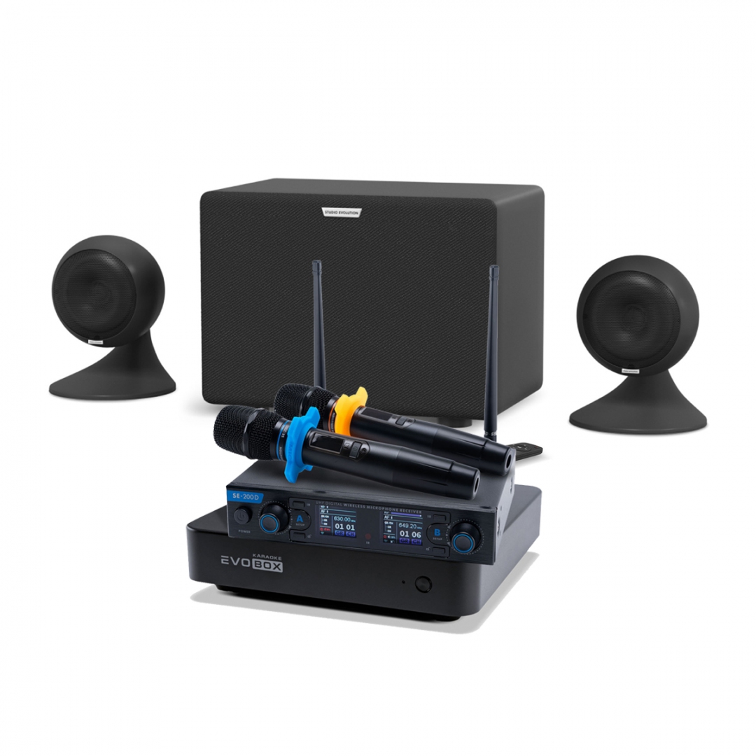 караоке-комплект EVOBOX + EvoSound Sphere 2.1 в Сатке