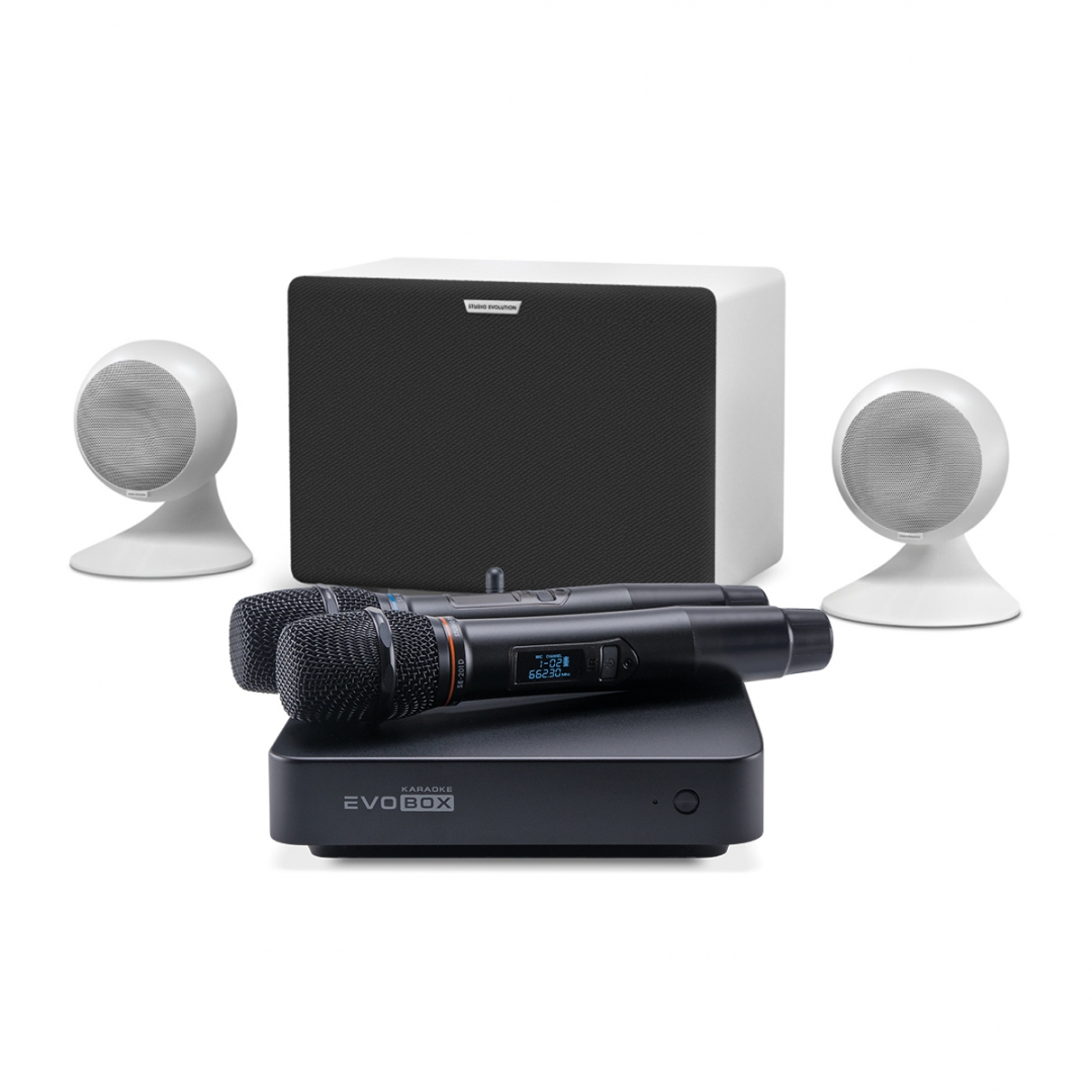 караоке-комплект EVOBOX Classic + EvoSound Sphere 2.1 в Сатке