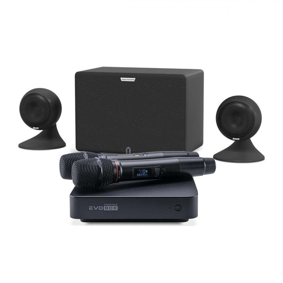 караоке-комплект EVOBOX Plus + EvoSound Sphere 2.1 в Сатке