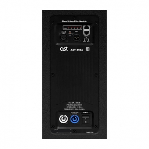 Активная акустическая система AST-310A в Сатке
