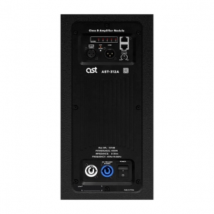 Активная акустическая система AST-312A в Сатке