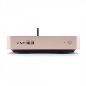 EVOBOX Plus караоке-система для дома в Сатке