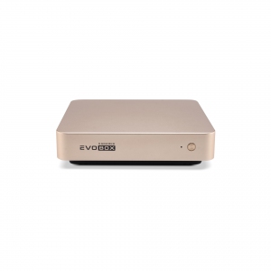 EVOBOX с микрофонами в Сатке